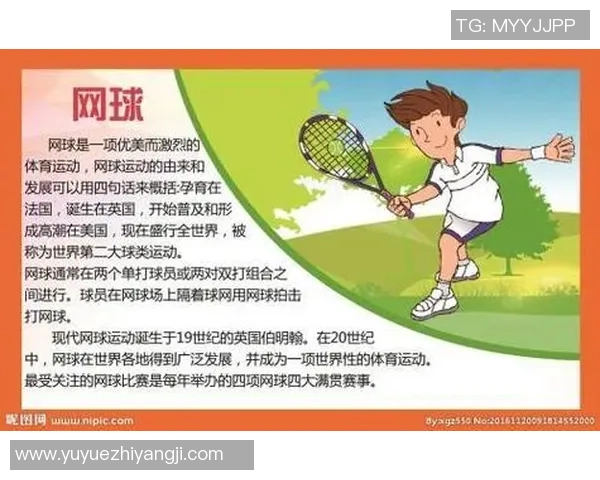 南京网球队的转型之路：深度解析网球运动的变革与发展