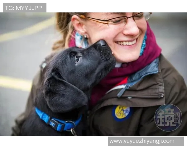 吴娜独家分享羽毛球技巧与心得助你提升竞技水平与乐趣