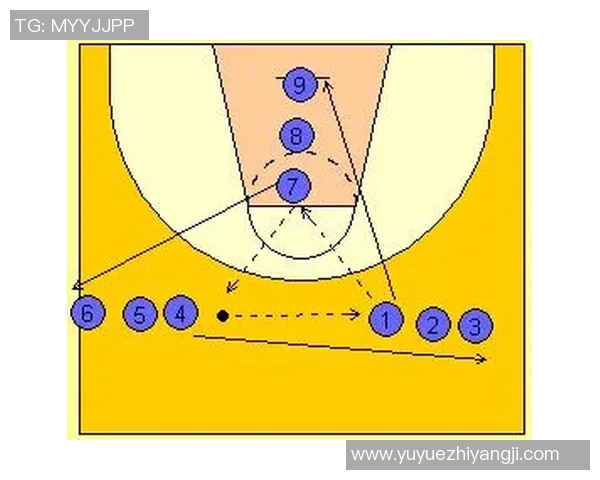 深圳篮球队引领最新篮球战术潮流TOP10解析与展望